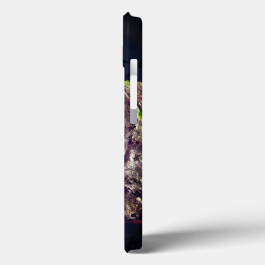 秋の蓮の花iPhone / iPadケース Case-Mate iPhoneケース (裏面 / 左)