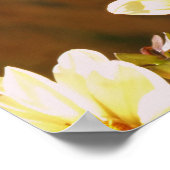 秋の蝶 ポスター (角)