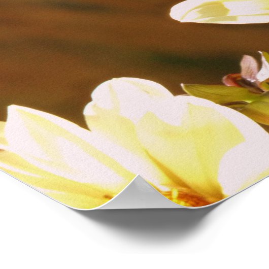 秋の蝶 ポスター (角)