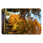 『秋の街路の色』 マグネット (横)