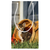 秋の装飾のベビーの子ネコ スモールペーパーバッグ (正面)
