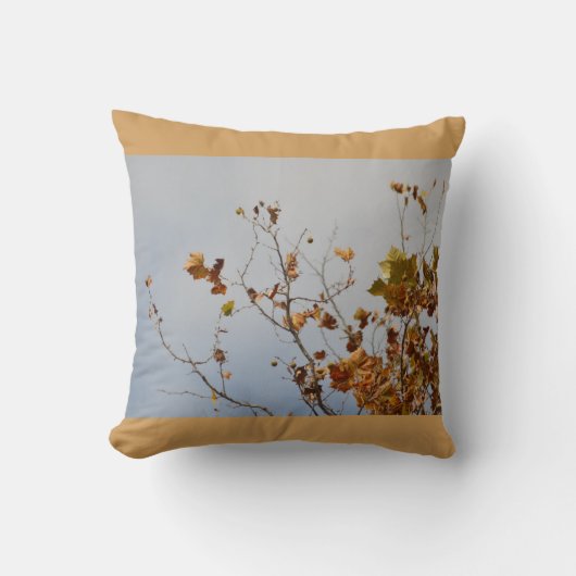 秋の装飾用クッション クッション (正面)