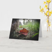 「秋の訪れの最初の兆し」哀悼カード カード (黄色い花)