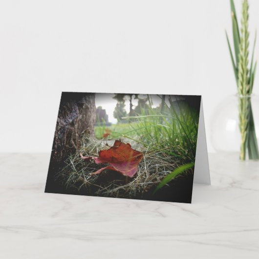 「秋の訪れの最初の兆し」哀悼カード カード (正面)