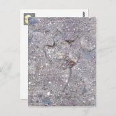 秋の証拠 – 葉カード ポストカード (正面/裏面)