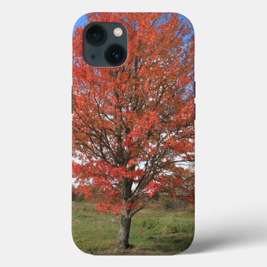 秋の赤いカエデの青い空 Case-Mate iPhoneケース (裏面)