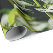 秋の赤いギフトのWrapingの紙 ラッピングペーパー (ロールコーナー)