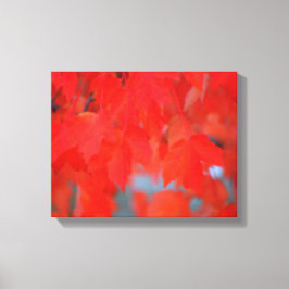 秋の赤いメ葉ジの キャンバスプリント