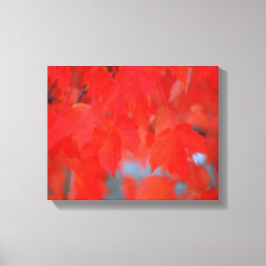 秋の赤いメ葉ジの キャンバスプリント (正面)