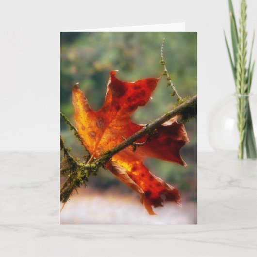 秋の赤い葉の自然の写真 カード (正面)