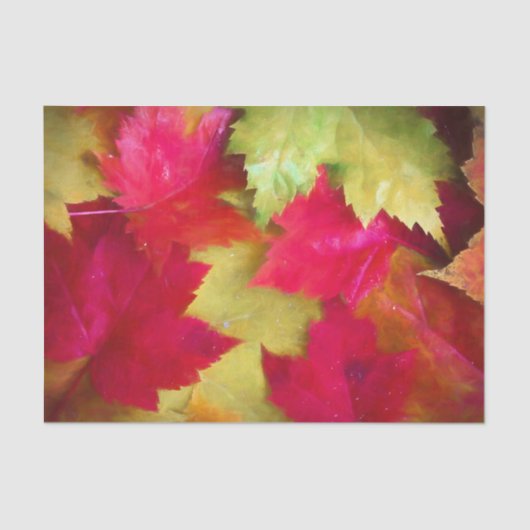 秋の赤イエローメープル葉ズアート 薄葉紙 (正面)