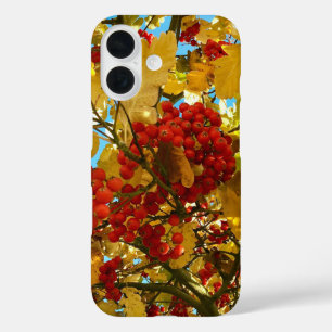 秋の赤ベリーオレンジツリークラウン写真 – iPhone 16ケース