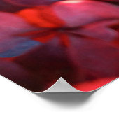 秋の赤紫の鮮やかブッシュの葉の背景 ポスター (角)