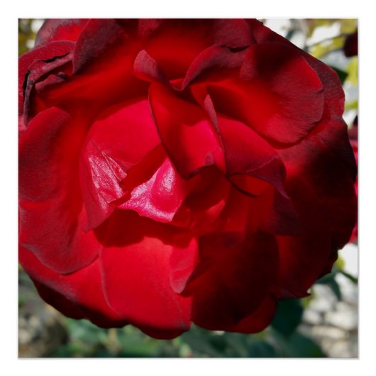 秋の赤 ポスター (正面)