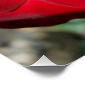 秋の赤 ポスター (コーナー)