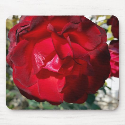 秋の赤 マウスパッド (正面)