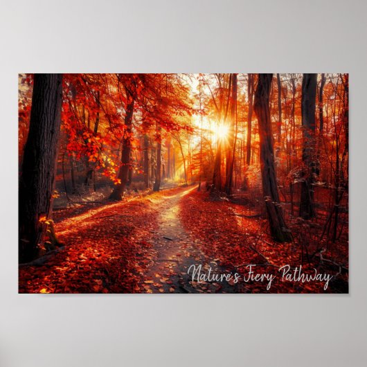 秋の輝き ポスター (正面)