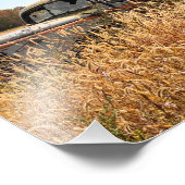 秋の農場の古いトラック フォトプリント            (角)