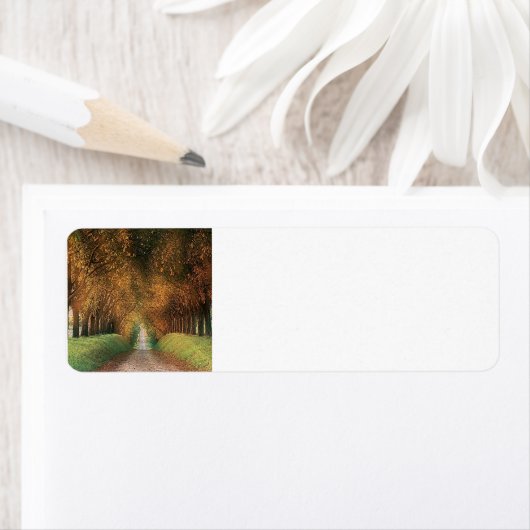 秋の返品ラベル ラベル (インサイチュ)