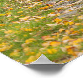 秋の道 ポスター (角)