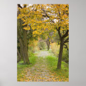 秋の道 ポスター (正面)
