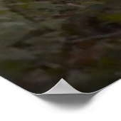 秋の道 ポスター (角)