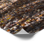 秋の道。ポスター ポスター (角)