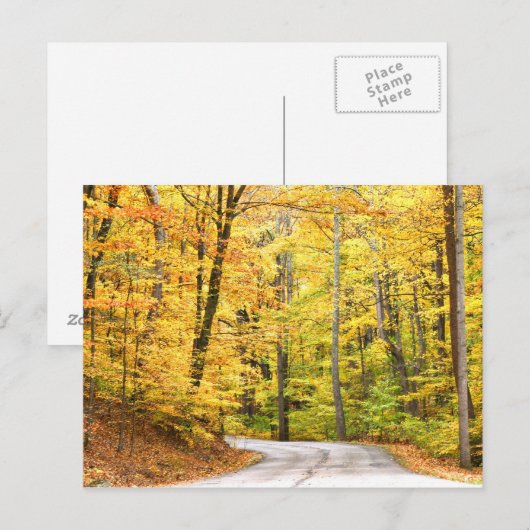 秋の道 ポストカード (正面/裏面)