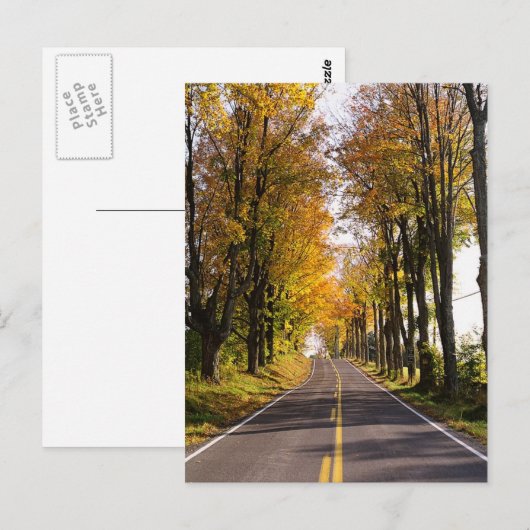 秋の道 ポストカード (正面/裏面)