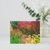 秋の道 ポストカード (スタンド正面)