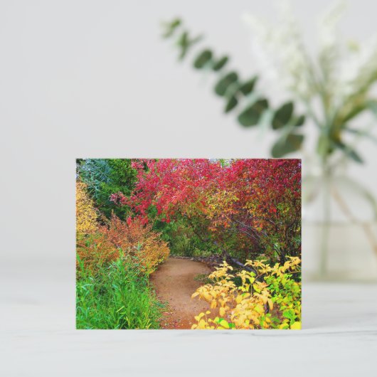 秋の道 ポストカード (スタンド正面)