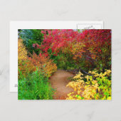 秋の道 ポストカード (正面/裏面)