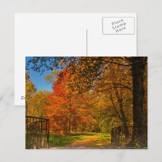 秋の道 ポストカード (正面/裏面)