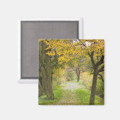 秋の道 マグネット (正面/裏面)