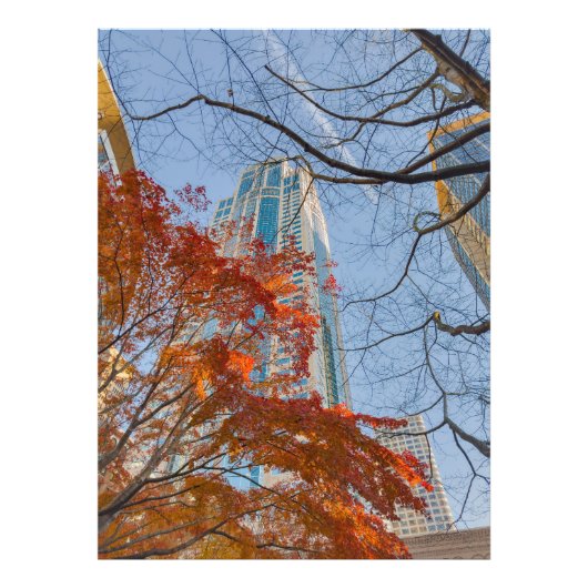 秋の都市 フォトプリント            (正面)