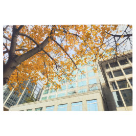 秋の都市 メタルプリント