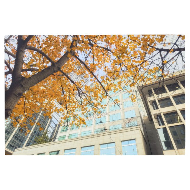 秋の都市 メタルプリント (正面)