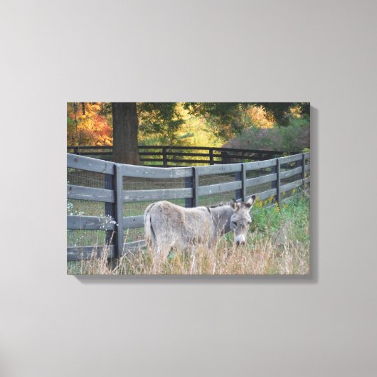 秋の野のロバ キャンバスプリント (正面)