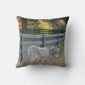 秋の野のロバ クッション (裏面)