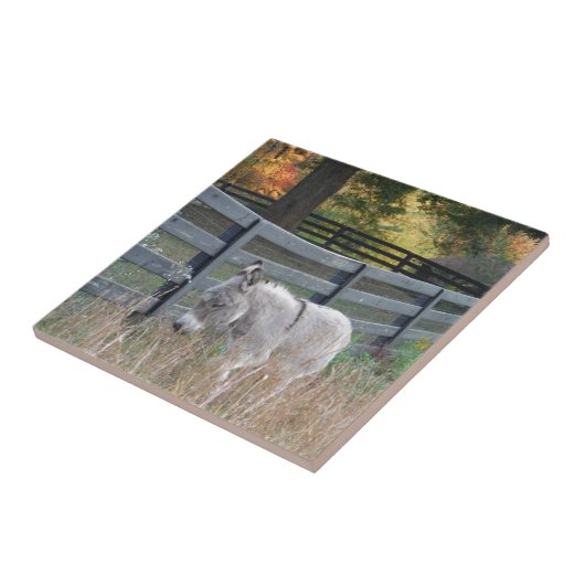 秋の野のロバ タイル (側面)