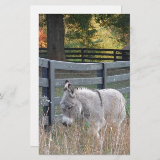 秋の野のロバ 便箋 (正面/裏面)