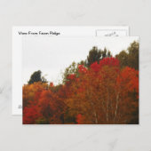 秋の野原とアディロンダックスの木々の風景 ポストカード (正面/裏面)