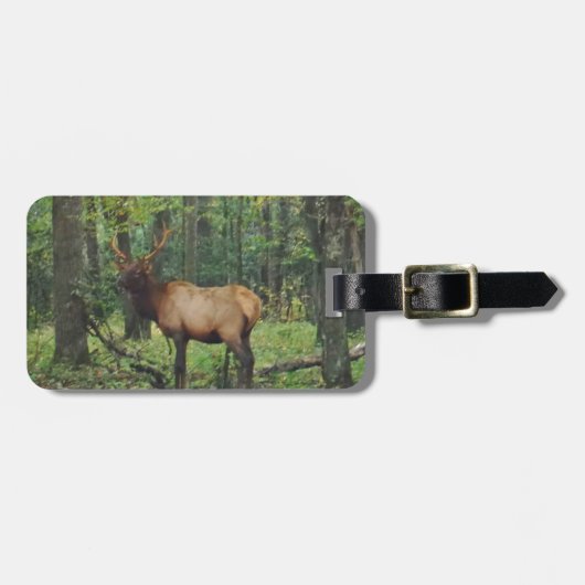 秋の野原の雄エルク ラゲッジタグ (正面横)