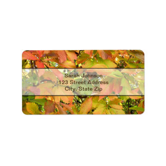 秋の野生のグレープ葉ネ ラベル