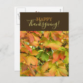 秋の野生のグレープ離れネの幸せ感謝祭 シーズンポストカード (正面/裏面)
