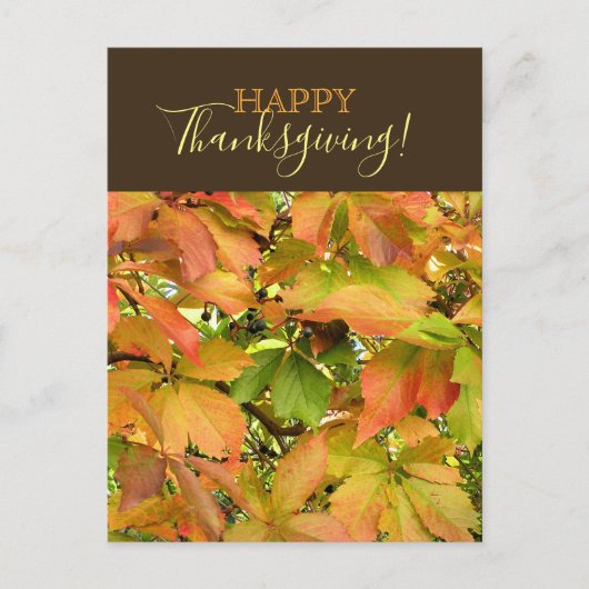 秋の野生のグレープ離れネの幸せ感謝祭 シーズンポストカード (正面)