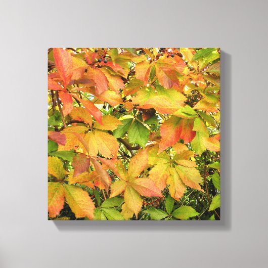 秋の野生のデマの葉 キャンバスプリント (正面)
