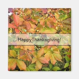 秋の野生のデマの葉 マグネット