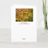 秋の野生のブドウの葉幸せ感謝祭 シーズンカード (裏面)