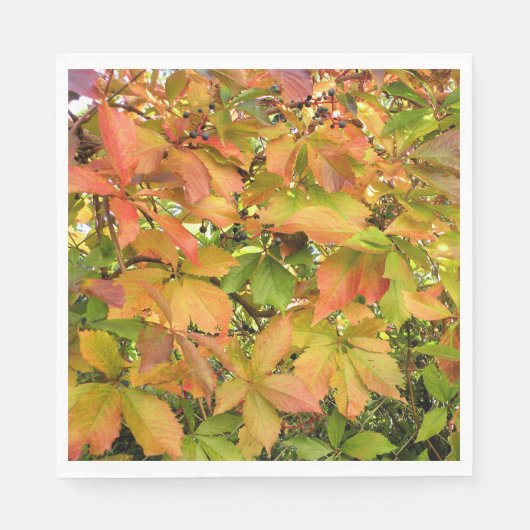 秋の野生のブドウ葉の スタンダードランチョンナプキン (正面)